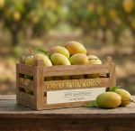 Anwar Ratol Multani Mango (3kg)