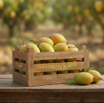 Anwar Ratol Mango Export Quality (5kg) - Image 3