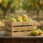Chaunsa Mango Pakistan Export Quality (5kg) - Image 2