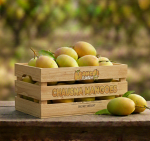 Chaunsa Mango Pakistan Export Quality (3kg)