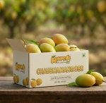 Chaunsa Mango Pakistan Export Quality (3kg) - Image 2