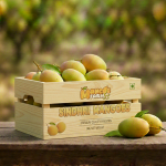 Sindhri Mango Pakistan Export Quality (3kg)