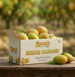 Multani Chanab Gold Mango-Export Quality (5kg) - Image 3