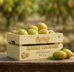 Multani Chanab Gold Mango-Export Quality (5kg) - Image 2